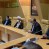 مبارزه کادر درمانی با کرونا در اوج تحریمها ستودنی است